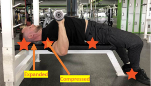 Picture 1: The orientations of the two regions of the neck in a chin tuck position, live in action.